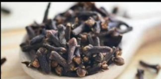 STAVILA JE KARANFILIĆ NA VRATA U KUĆI: PREKO NOĆI SE RIJEŠILA PROBLEMA KOJI JE PRISUTAN KOD MNOGIH!