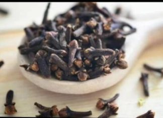 STAVILA JE KARANFILIĆ NA VRATA U KUĆI: PREKO NOĆI SE RIJEŠILA PROBLEMA KOJI JE PRISUTAN KOD MNOGIH!