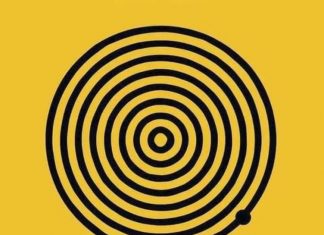 Vizuelni test koji podstiče razmišljanje: Koliko krugova vidiš na slici?