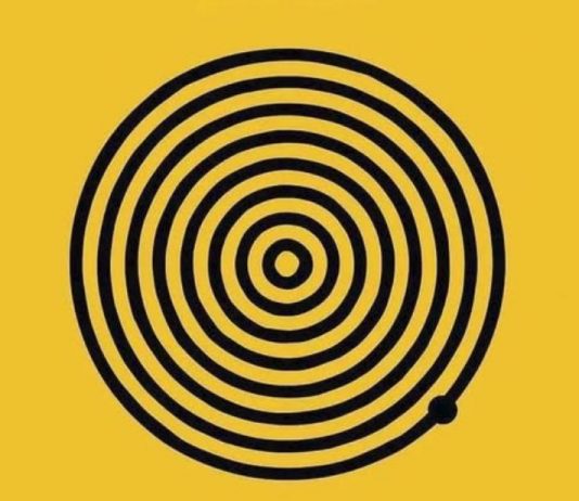 Vizuelni test koji podstiče razmišljanje: Koliko krugova vidiš na slici?