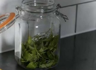 ČAJ OD OVE BILJKE SE PIJE PRED SPAVANJE: Uspavaće vas kao malu bebu i obrisati nervozu u sekundi – morate probati