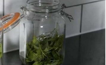 ČAJ OD OVE BILJKE SE PIJE PRED SPAVANJE: Uspavaće vas kao malu bebu i obrisati nervozu u sekundi – morate probati