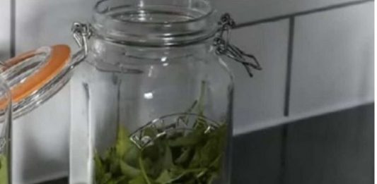 ČAJ OD OVE BILJKE SE PIJE PRED SPAVANJE: Uspavaće vas kao malu bebu i obrisati nervozu u sekundi – morate probati