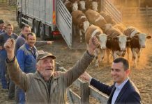 “Žrtva ljubavi: Kako je otac, prodajući kravu, verovao u sina i promenio sudbinu svog sela”