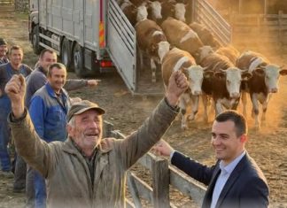 “Žrtva ljubavi: Kako je otac, prodajući kravu, verovao u sina i promenio sudbinu svog sela”