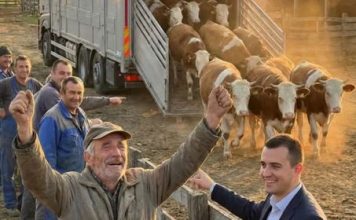“Žrtva ljubavi: Kako je otac, prodajući kravu, verovao u sina i promenio sudbinu svog sela”