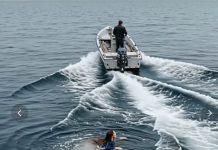 Gurnuta u More: Priča o Izdaji, Preživljavanju i Otkrivanju Istine