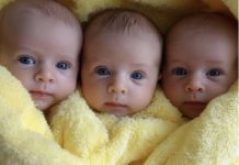 “Ponovni susret sa prošlošću: Kako je život žene prepunio iznenađenjima nakon što je ostavljena sa trojkama”