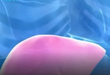 Hepatolog tvrdi da jedno voće obnavlja jetru za 7 dana, a sve zbog ovog enzima