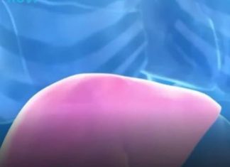 Hepatolog tvrdi da jedno voće obnavlja jetru za 7 dana, a sve zbog ovog enzima