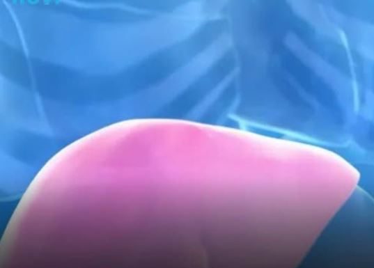 Hepatolog tvrdi da jedno voće obnavlja jetru za 7 dana, a sve zbog ovog enzima