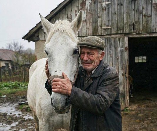 Čika Stanoje je prodao konja misleći da ga šalje u smrt – pet godina kasnije sudbina mu je vratila ono što je najviše volio