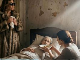 “Posljednja Oporuka Jelice: Izdaja, Odanost i Šokantna Istina Koja Je Promijenila Sudbinu Obitelji”