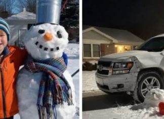 Sneško koji je zaustavio auto: kako je osmogodišnjak naučio komšiju lekciju o granicama