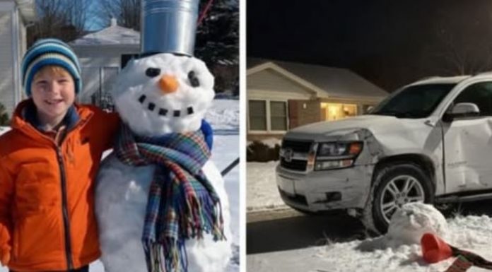 Sneško koji je zaustavio auto: kako je osmogodišnjak naučio komšiju lekciju o granicama