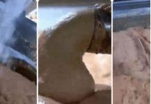 0V0 JE NAJ0PASNlJA NAMlRNlCA, A STALNO JE JEDEMO: Niko vam neće reći da može biti 0TR0VNA!