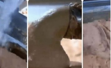 0V0 JE NAJ0PASNlJA NAMlRNlCA, A STALNO JE JEDEMO: Niko vam neće reći da može biti 0TR0VNA!