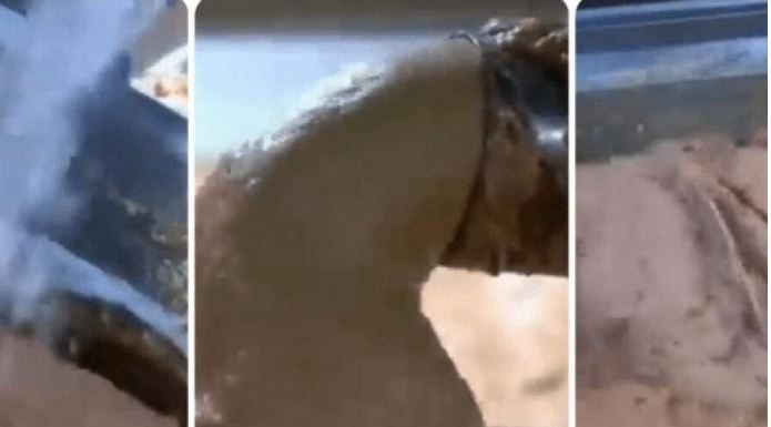 0V0 JE NAJ0PASNlJA NAMlRNlCA, A STALNO JE JEDEMO: Niko vam neće reći da može biti 0TR0VNA!