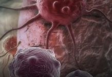 Dvije namirnice ubrzavaju starenje i podstiču r*k: Izbjegavajte ih nakon 40. godine