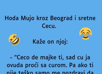 VIC: Mujo sretne Cecu