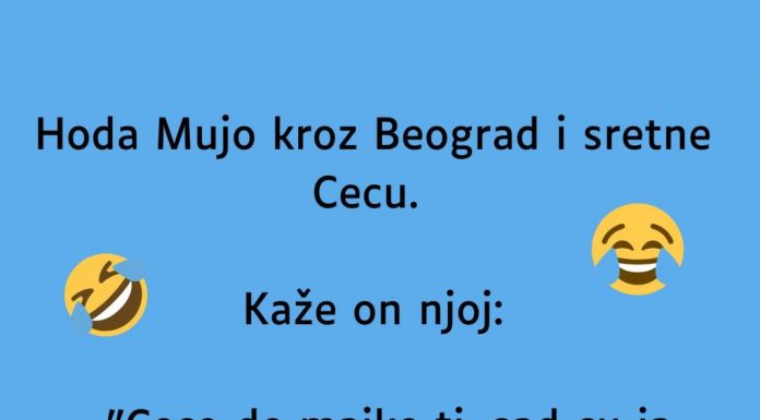 VIC: Mujo sretne Cecu