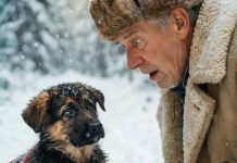 „Šumar je pronašao nešto što nije mogao ni da zamisli – štene koje je čuvalo tajnu“