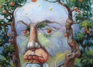 DOBRO POGLEDAJTE SLIKU: Prva stvar koju primjetite otkriva vašu najveću manu!