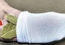 Moj deda je stavio lovorov list u čarapu i legao na spavanje: Stari trik koji se NIKAD ne sme zaboraviti, evo zašto!