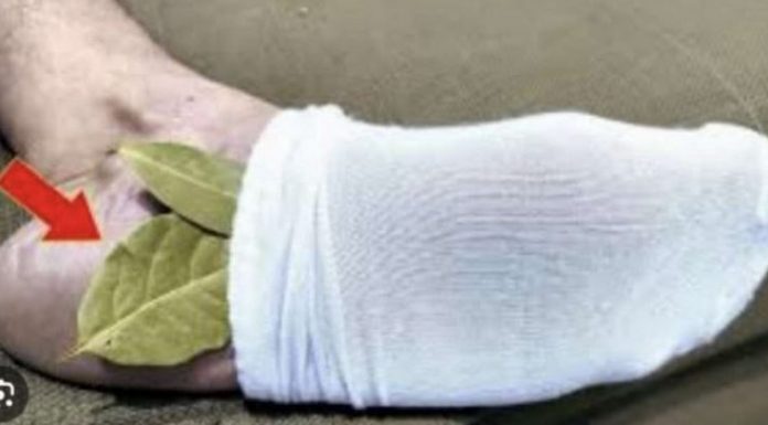 Moj deda je stavio lovorov list u čarapu i legao na spavanje: Stari trik koji se NIKAD ne sme zaboraviti, evo zašto!