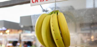 Velika zabluda o bananama mogla bi vas koštati zdravlja: Veoma je rasprostranjena i ljuti lekare