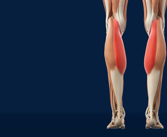 Slabost u nogama i gubitak snage često nemaju veze s godinama, nego s tanjurom. Postoji 6 namirnica koje čuvaju mišiće i pokretljivost. Provjerite da li ih jedete