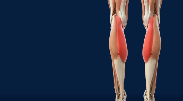 Slabost u nogama i gubitak snage često nemaju veze s godinama, nego s tanjurom. Postoji 6 namirnica koje čuvaju mišiće i pokretljivost. Provjerite da li ih jedete