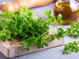 ZA SAMO 2 SATA KROZ STOLICU I URIN IZBACITE SVE STO SMETA ZDRAVOM ORGANIZMU! Univerzalni LEK!