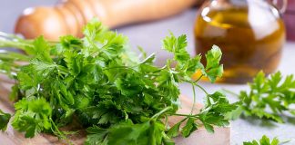 ZA SAMO 2 SATA KROZ STOLICU I URIN IZBACITE SVE STO SMETA ZDRAVOM ORGANIZMU! Univerzalni LEK!