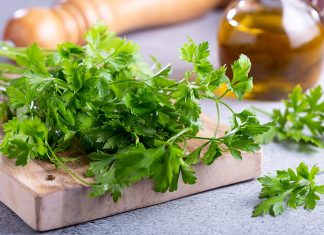 ZA SAMO 2 SATA KROZ STOLICU I URIN IZBACITE SVE STO SMETA ZDRAVOM ORGANIZMU! Univerzalni LEK!