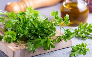 ZA SAMO 2 SATA KROZ STOLICU I URIN IZBACITE SVE STO SMETA ZDRAVOM ORGANIZMU! Univerzalni LEK!