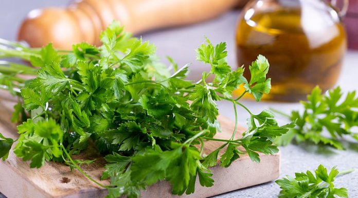 ZA SAMO 2 SATA KROZ STOLICU I URIN IZBACITE SVE STO SMETA ZDRAVOM ORGANIZMU! Univerzalni LEK!