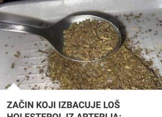 Začin koji izbacuje loš holesterol iz arterija: Otčepljuje krvne sudove, sprječava infarkt i šlog!