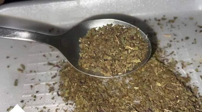 Začin koji izbacuje loš holesterol iz arterija: Otčepljuje krvne sudove, sprječava infarkt i šlog!