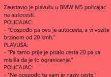 Policajac i plavusa