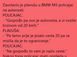 Policajac i plavusa