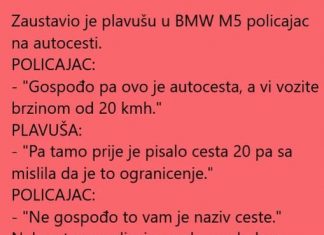 Policajac i plavusa