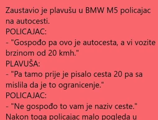 Policajac i plavusa