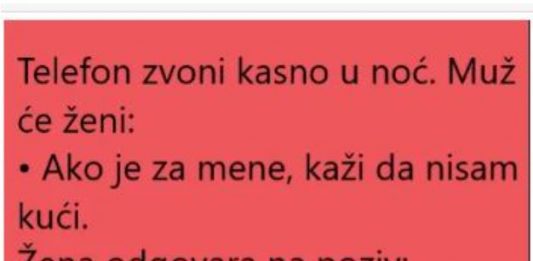 VIC DANA: ŽENA I POZIV