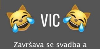 VIC DANA: Svekrva i snaja