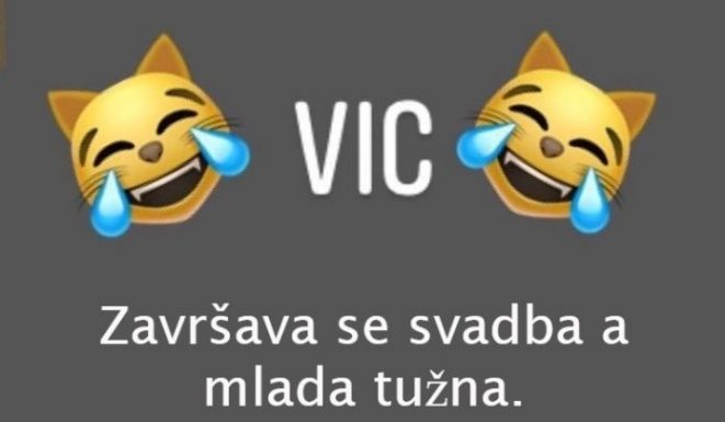VIC DANA: Svekrva i snaja