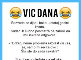 VIC DANA: Razvod u stotoj