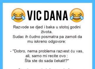 VIC DANA: Razvod u stotoj