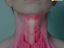 Manje jedite ove namirnice: Štitnjača će vam biti zdravija