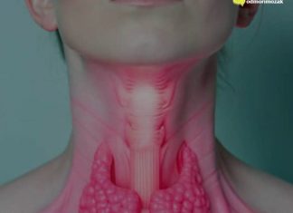 Manje jedite ove namirnice: Štitnjača će vam biti zdravija